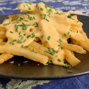 Seasoned Cheesy Fries